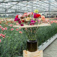 #TrendyDianthus arrangement