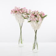 Simple romantic Alstroemeria bouquet with open flowers