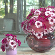 Pink mums Stresa and Stresa Purple in a design by Kristel van Dijk - photo Flower Factor
