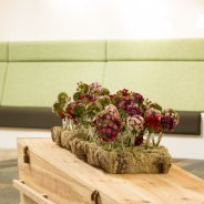 Breanthus in a funeral flower arrangement Kristel van Dijk - Flower Factor