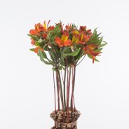 Autumnal Alstroemeria arrangement with open flowers