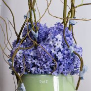 Fragrant Hyacinths for Mother's Day