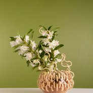 Bamboo Orchid Pure White