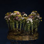 Mysterious Yin Yang object