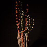 Autumn flower arrangement by Roos van Unen