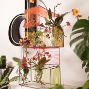 orchids urban jungle style - design Chantal Vollenbroek