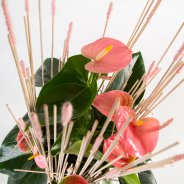 pink Anthurium arrangement - Pim van den Akker - Flower Factor
