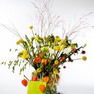 #FreestyleFreesia: Monique Lem