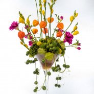 #FreestyleFreesia: Norbert van Baardwijk