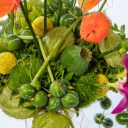 #FreestyleFreesia: Norbert van Baardwijk