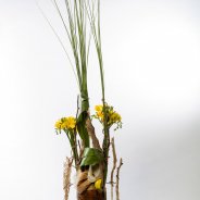 #FreestyleFreesia: Aafke Wikkerink