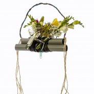 #FreestyleFreesia: Denise Wiekamp