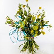 #FreestyleFreesia: Julia Bonte