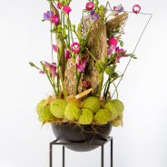 #FreestyleFreesia: Nely de Bruin