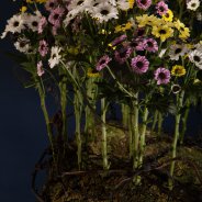 Floral Yin Yang object