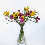 #FreestyleFreesia: Cora Schrijver