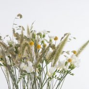 Luxurious #FreestyleFreesia Close-up