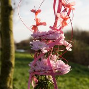 Chrysanthemum Baltica Pink - design with just two stems