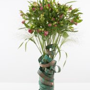 Alstroemeria Florinca 'Noa' with copper strips