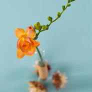Christmas arrangement with Freesia - Flower Factor