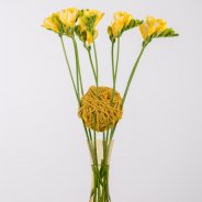 A close-knit Freesia construction