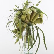 Leather cones with trendy Dianthus