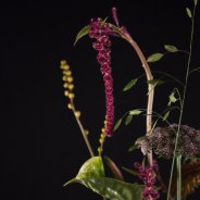 Tino Hoogterp Natural Treasures bouquet - top