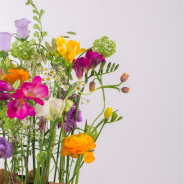 colourful Freesia arrangement FreestyleFreesia Kristel van Dijk Flower Factor 2
