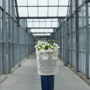 Floral jam sessions HilverdaKooij - round 1 - design Gea Korpel Beskers