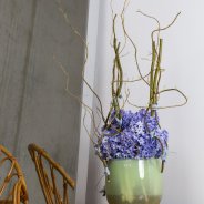 Fragrant Hyacinths