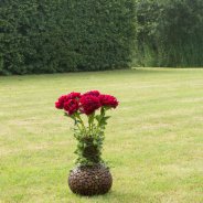 Powerful peony arrangement