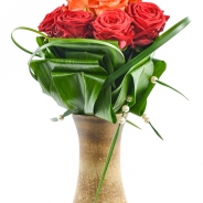 Agaath van den Welle