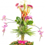 Jose Bontje + Peter Manders