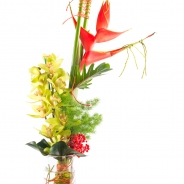 Geert van der Heijden