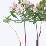 Industrial Alstroemeria design open flowers close-up