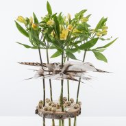 Fun feathery Alstroemeria design
