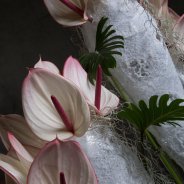 Anthurium 'Facetto' arrangement close-up