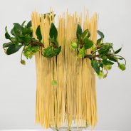 Original vase design with cut Hellebores and Sparkz Green Trick from HilverdaKooij - photo Nils van Houts