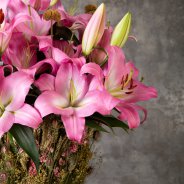 Pink Master lily design - Dennis Lanzaat - Flower Factor