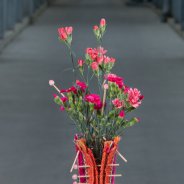 Floral jam sessions HilverdaKooij - round 1 - design Roos van Unen