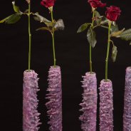 Black Baccara roses in candle wax vases