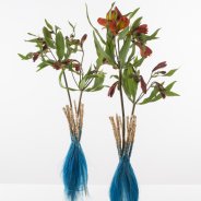 Small bouquets with Alstroemeria 'HipHop'