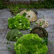 Funeral arrangement