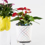 Playfull Anthurium arrangements - Roos van Unen - Flower Factor