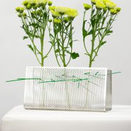 Beautiful 'mums' from Zentoo Chrysanthemums - photo Nils van Houts
