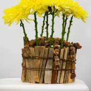 Bright Magnum Yellow chrysanthemums from Deliflor - photo Nils van Houts