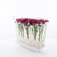 Elegant design with 'Stresa Purple'