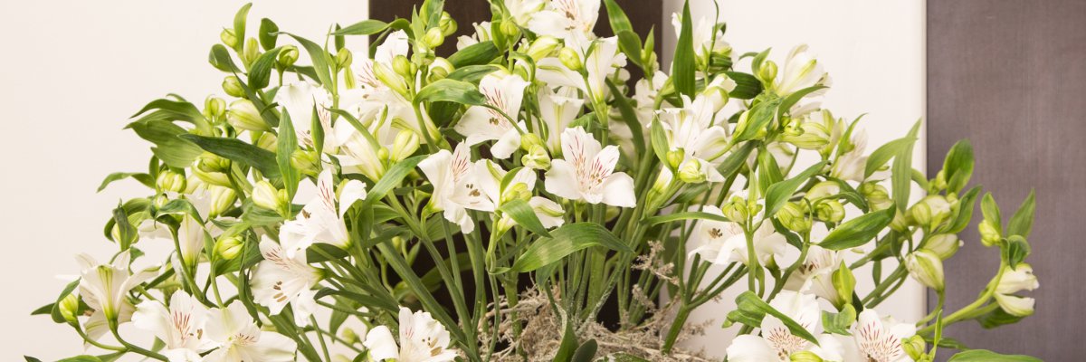 Wintery bouquet with Alstroemeria