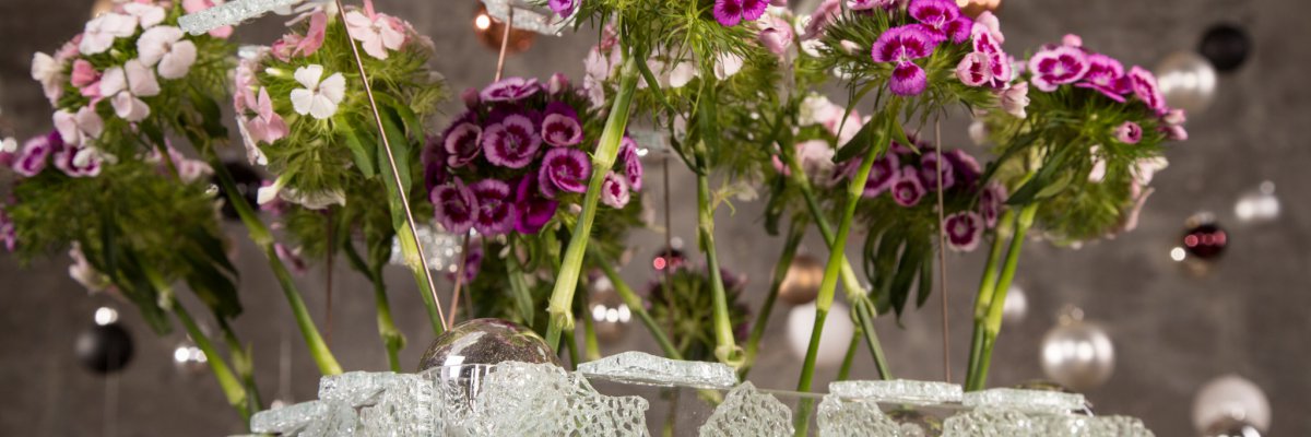 Breanthus for Christmas