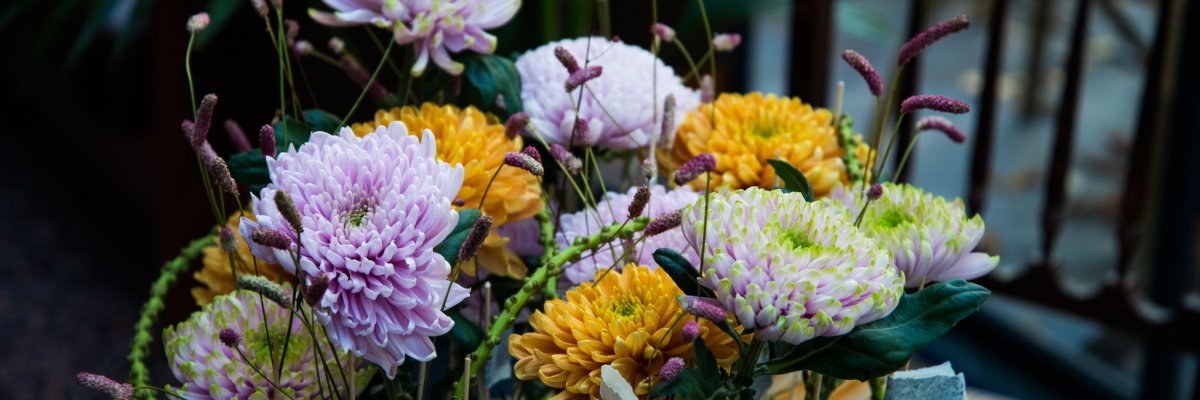 Rossano Chrysanthemums on a pedestal
